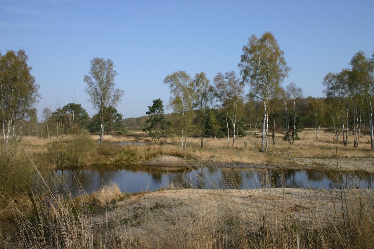 Romantik Hotel Kasteel Daelenbroeck Herkenbosch Exteriör bild
